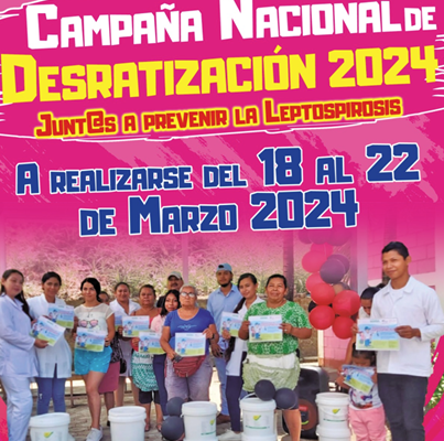 Así avanza la campaña de Desratización en Nicaragua
