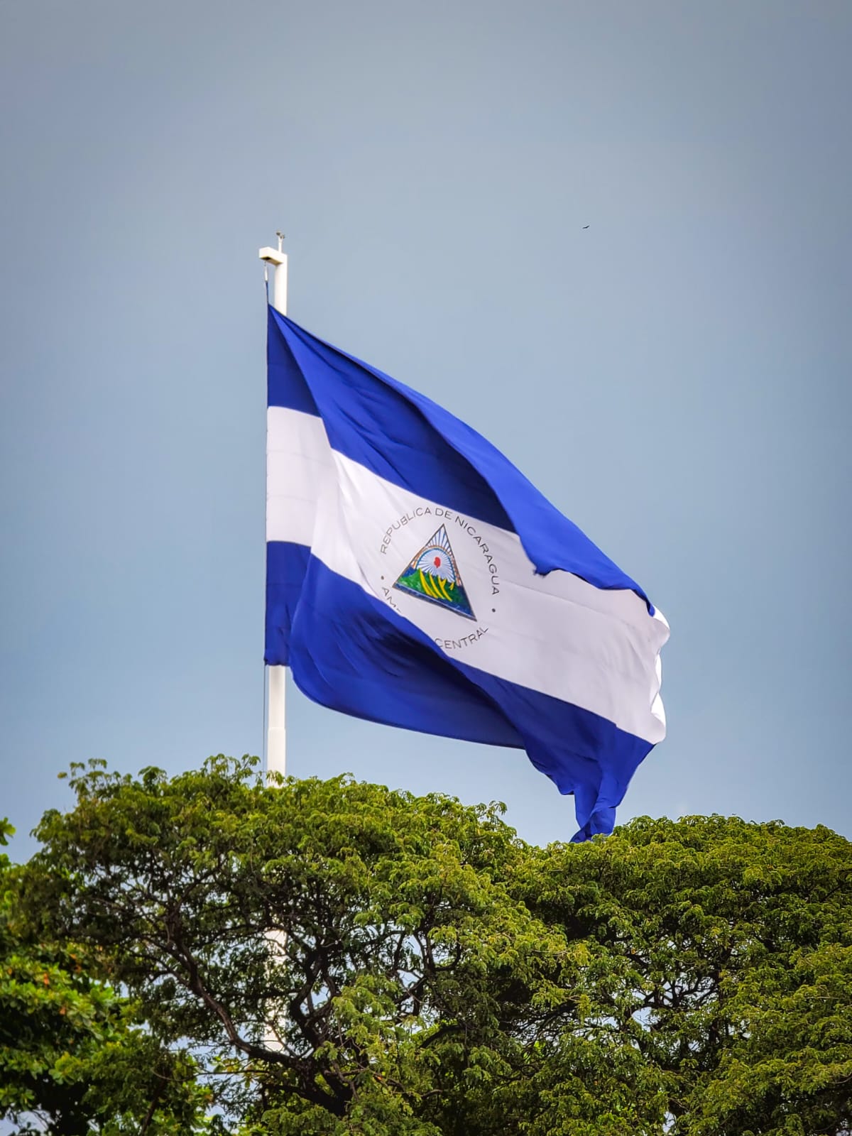 Nicaragua informa sobre nombramiento de Encargado de Negocios ante EE.UU.