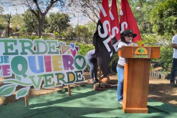 Nicaragua impulsa producción de más de 29 millones de plantas