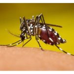 Nicaragua registra notable disminución en casos de dengue y neumonía