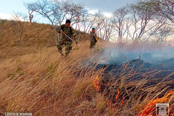 Ejército de Nicaragua: Acción rápida y decisiva en la sofocación de incendios forestales
