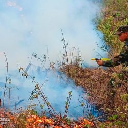 Ejército de Nicaragua sofoca incendios en Dipilto, Macuelizo y Ocotal