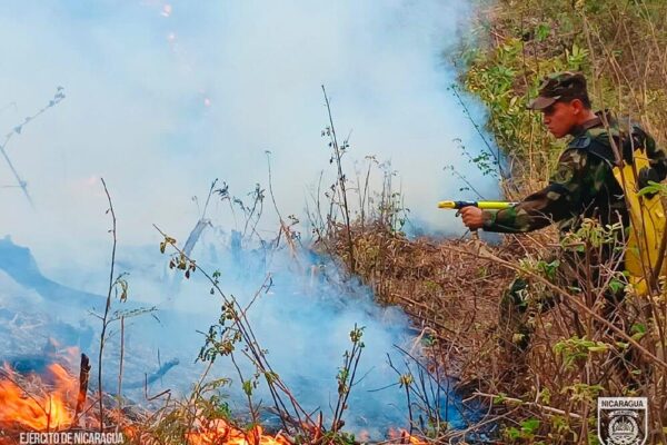 Ejército de Nicaragua sofoca incendios en Dipilto, Macuelizo y Ocotal