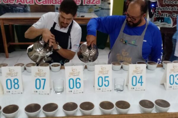 Realizan VIII Edición del Certamen Taza Dorada