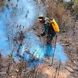 Sofocan incendio forestal y de maleza en Somoto