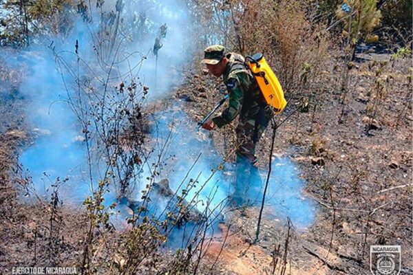 Sofocan incendio forestal y de maleza en Somoto