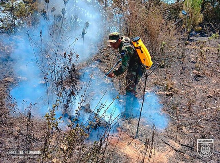 Sofocan incendio forestal y de maleza en Somoto