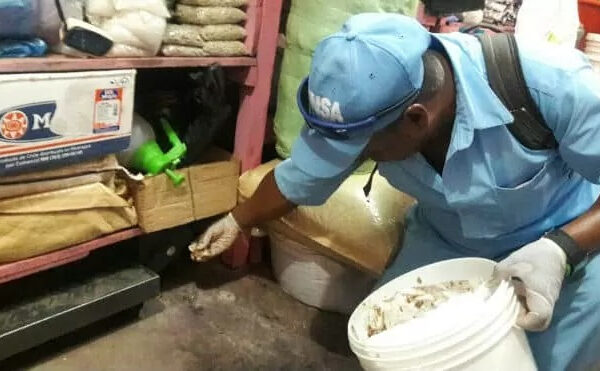 Nicaragua: disminuyen contagios de leptospirosis e influenza