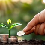 Incentivarán empleos verdes en Cuba