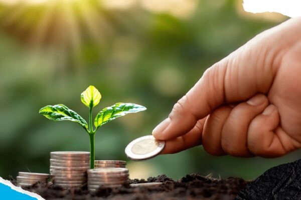 Incentivarán empleos verdes en Cuba