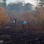 Sofocan incendio forestal en Río Blanco