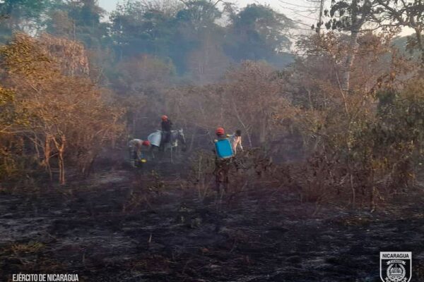 Sofocan incendio forestal en Río Blanco