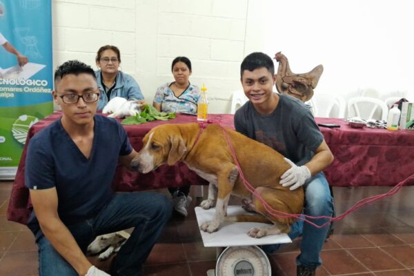 INATEC celara Feria del Conocimiento Agropecuario en Juigalpa