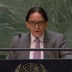 Nicaragua en la ONU mantiene firme solidaridad con Palestina