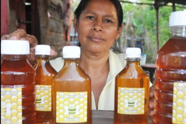 Buenos Resultados en Producción Nacional de Miel