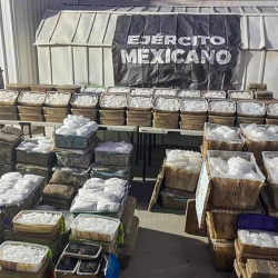 El Ejército mexicano decomisa un gran cargamento de droga escondida entre vísceras de animales