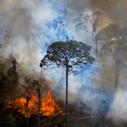 Brasil registra cifra récord de incendios forestales