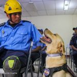 Nicaragua inicia curso de rescate con caninos impartido por Bomberos para el Mundo de España