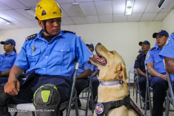 Nicaragua inicia curso de rescate con caninos impartido por Bomberos para el Mundo de España
