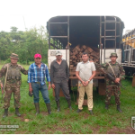 Ejército de Nicaragua lleva a cabo ocupación de madera  de la especie Palo de Agua y Níspero, trasladada de manera ilegal
