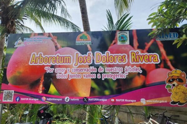 Inauguran octavo Arboretum Municipal en San Jorge para impulsar la educación ambiental