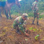 Ejército de Nicaragua, participa en jornada de reforestación en la comarca el Raizón