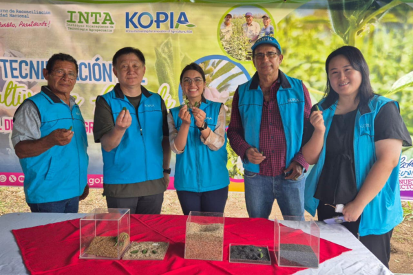 Avances innovadores en la creación de nuevas variedades de Ajonjolí