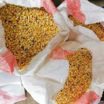 Nicaragua celebra resultados positivos en la cosecha de Maíz: “Nuestra Raíz”