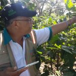 IPSA, al frente de Vigilancia Fitosanitaria