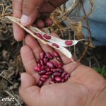 Nicaragua será sede del Encuentro Regional de Seguridad Alimentaria