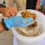 Octubre Victorioso: Juntos contra la leptospirosis, protegiendo la salud de Nicaragua