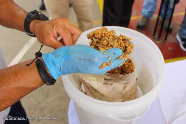 Octubre Victorioso: Juntos contra la leptospirosis, protegiendo la salud de Nicaragua