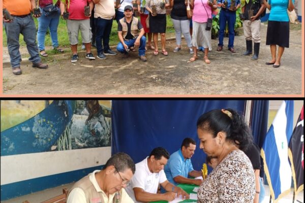 Entrega de Plantas de Plátano y Frutales en Costa Caribe Norte
