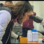 Avances en Técnicas de Precisión para la Detección de Plagas y Enfermedades en Cultivos