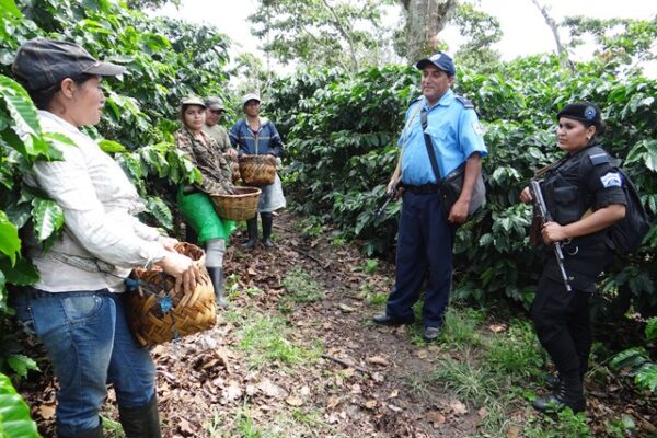 Unidos por la Seguridad Rural: Impactantes logros del Gobierno de Nicaragua y la Policía Nacional