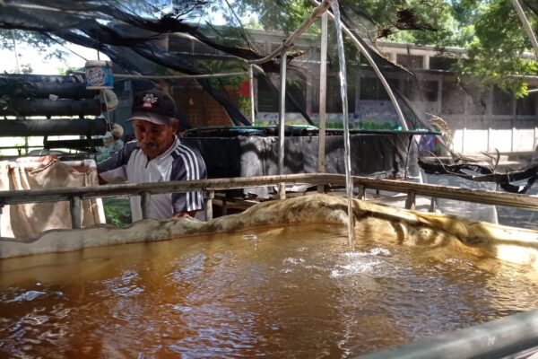 Inpescas capacita en técnicas innovadoras para el cultivo de tilapias