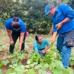 Gobierno Implementa Certificación Fitosanitaria para Semillas para Garantizar Calidad y Sanidad Agrícola