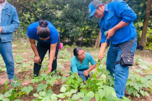 Gobierno Implementa Certificación Fitosanitaria para Semillas para Garantizar Calidad y Sanidad Agrícola