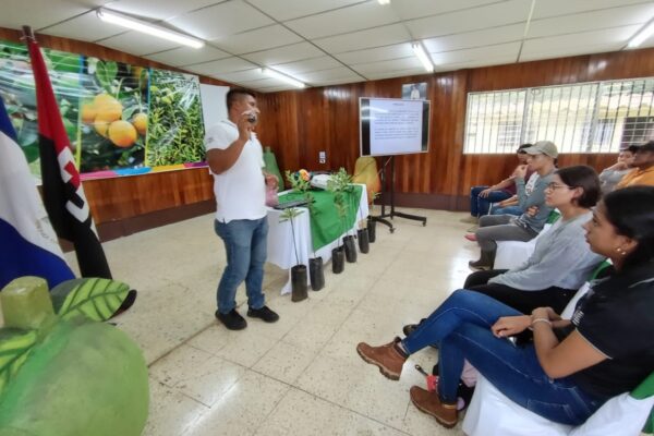 Técnicas de selección de semillas para frutales y cítricos: Garantizando cultivos de calidad