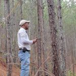 IPSA Garantiza Sanidad en Plantaciones Forestales con Nuevas Iniciativas