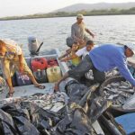 Avances de la Industria Pesquera y Acuícola en Nicaragua: Un Crecimiento Sostenido