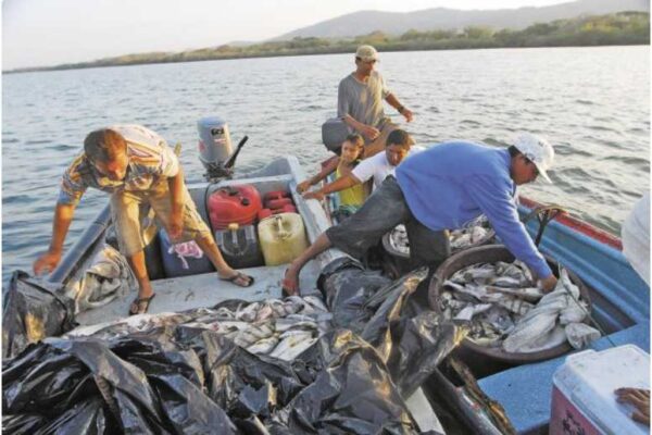 Avances de la Industria Pesquera y Acuícola en Nicaragua: Un Crecimiento Sostenido