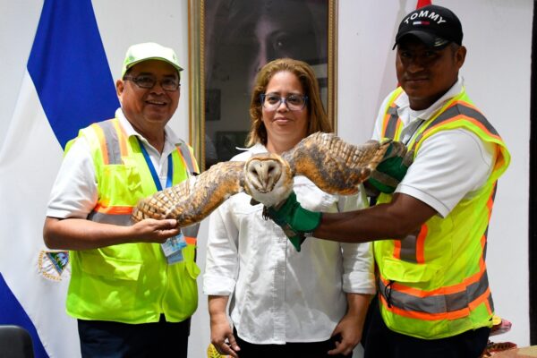 Gobierno Autoriza Investigaciones Científicas para Fortalecer el Monitoreo de la Biodiversidad