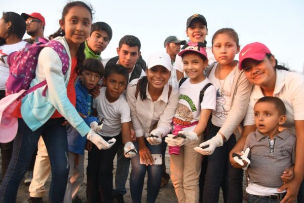 Liberamos Tortuguillos: Un acto de esperanza por la naturaleza