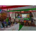 “Nicaragua es Café” destacando avances en la caficultura