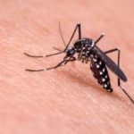 Menos Contagios de Dengue, Neumonía y Malaria: Avances en la Lucha Contra Enfermedades Endémicas