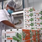 IPSA certifica exportación de cultivos no tradicionales