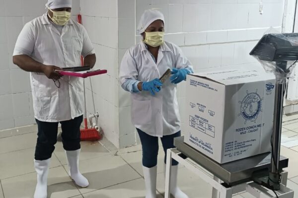 INPESCA refuerza acciones para el desarrollo del Sector Pesquero y Acuícola en todo el país