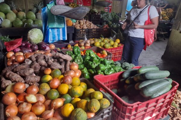 Buen Abastecimiento de Productos Agropecuarios Garantiza Suministro Estable