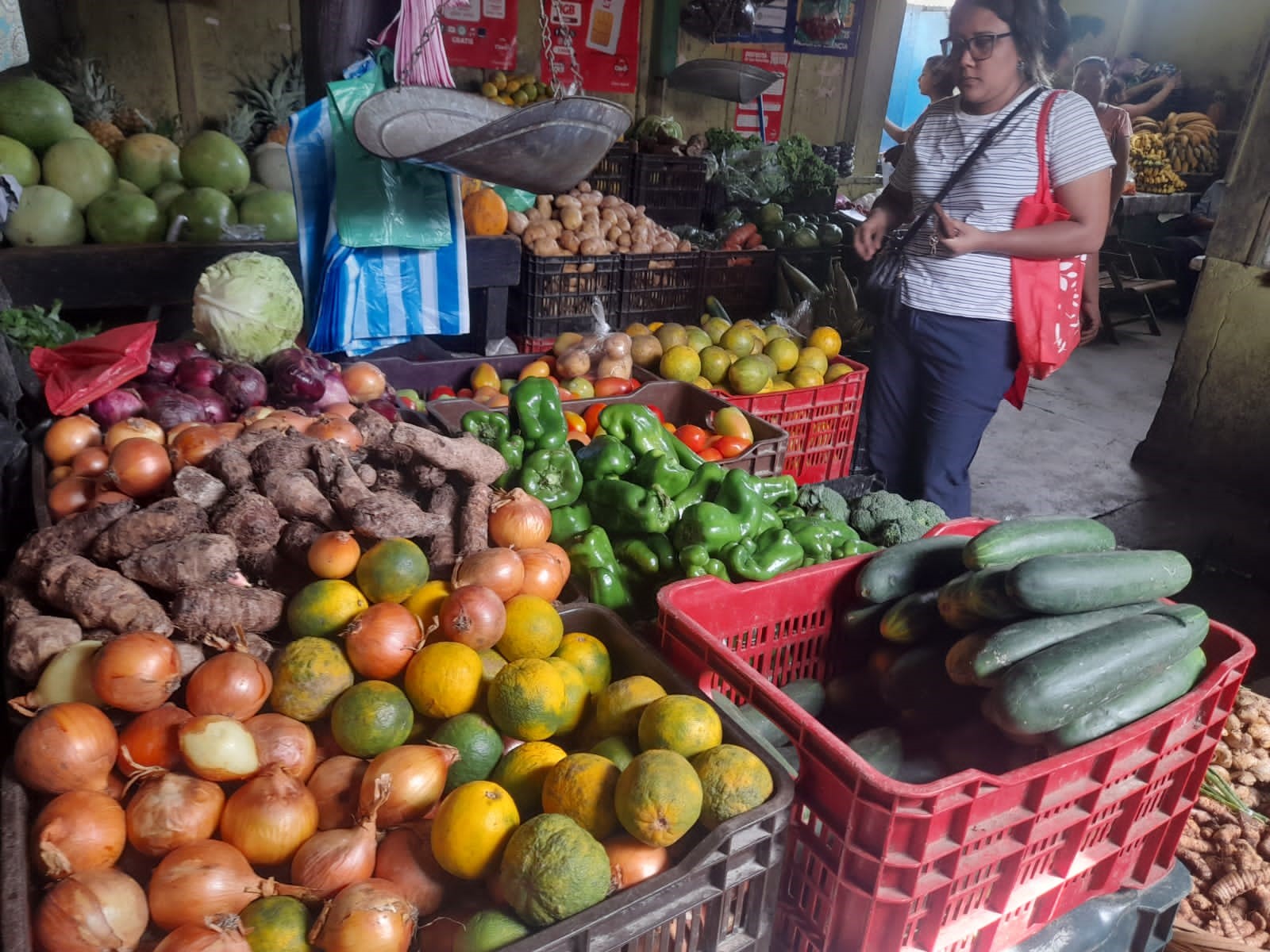 Buen Abastecimiento de Productos Agropecuarios Garantiza Suministro Estable